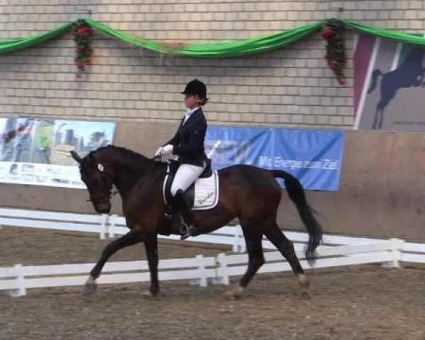 dressage horse Coccolina (Rhinelander, 2008, from Completto 2)