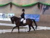 dressage horse Coccolina (Rhinelander, 2008, from Completto 2)