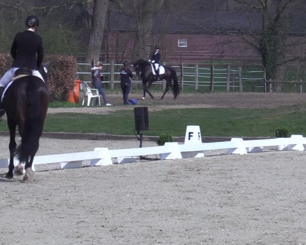 Reitturnier Münster-Handorf 2021