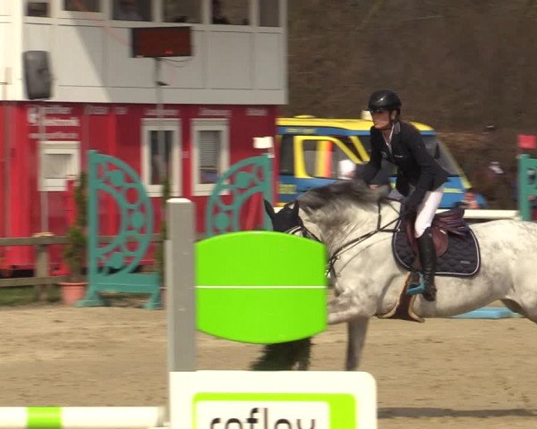 Reitturnier Münster-Handorf 2021