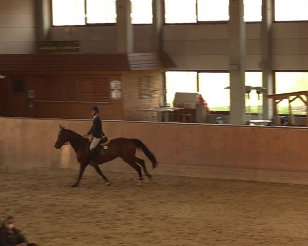 Reitturnier Prussendorf 2021