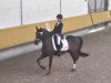 dressage horse No Limit 24 (German Riding Pony, 1998, from Speyksbosch Nelson)