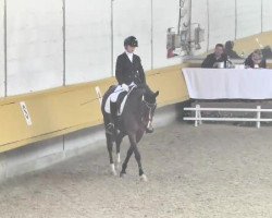 dressage horse Ruby's As (German Riding Pony, 2003, from Ruby Gold)