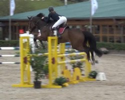 jumper Brise de Coeur (KWPN (Royal Dutch Sporthorse), 2006, from Sydney)