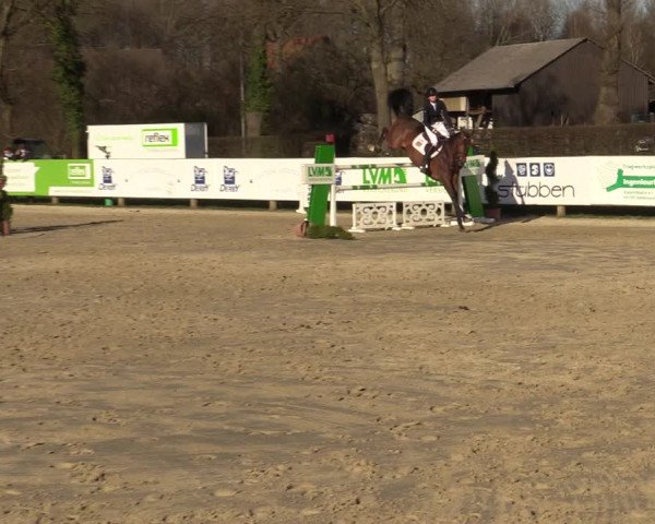Reitturnier Münster-Handorf 2021