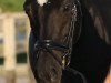 dressage horse Aliyah (Rhinelander, 2001, from Abanos)