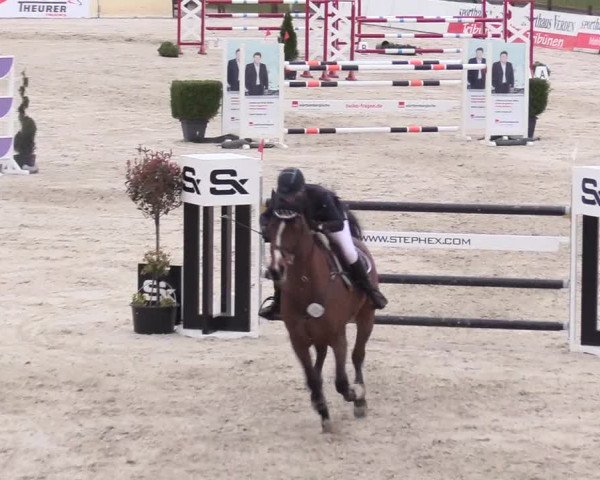 Reitturnier Westergellersen 2021