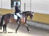 dressage horse Sonny Mojo (Oldenburg, 2009, from Spielberg)