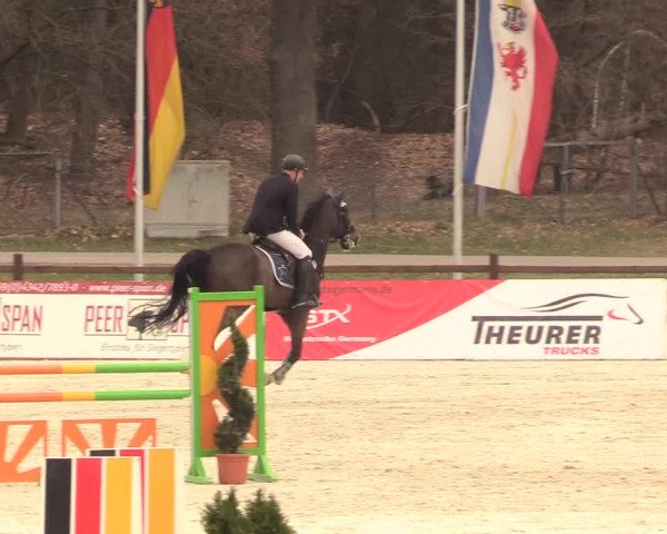 Reitturnier Westergellersen 2021