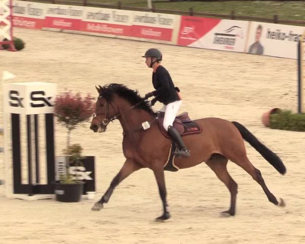 Reitturnier Westergellersen 2021