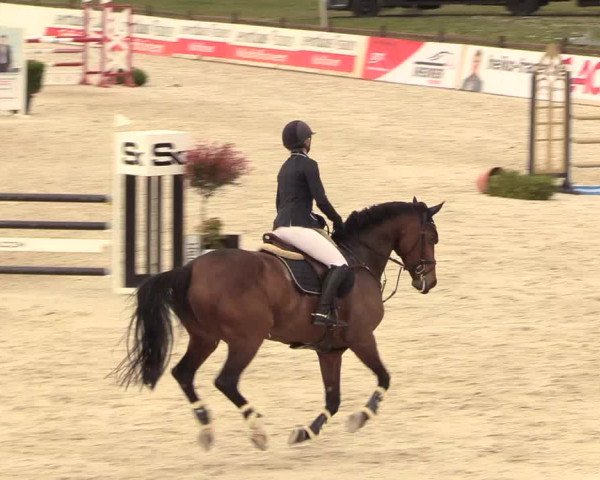 Reitturnier Westergellersen 2021