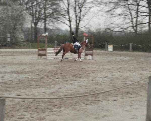 Reitturnier Scharnebeck 2021