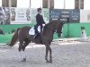 dressage horse D'Accord 58 (Oldenburg, 1999, from De Niro)