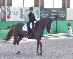 dressage horse D'Accord 58 (Oldenburg, 1999, from De Niro)