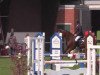 jumper Lugano Sitte (Belgium Sporthorse, 2017, from Tangelo van de Zuuthoeve)