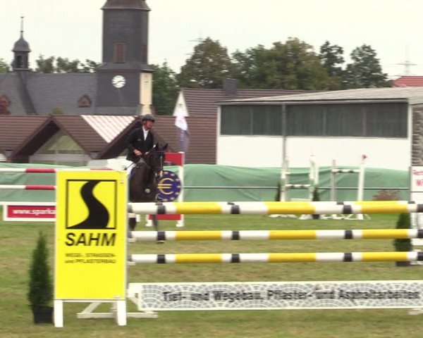 Reitturnier Altmittweida 2021