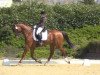 dressage horse Likant (Westphalian, 2008, from Let de Lember)