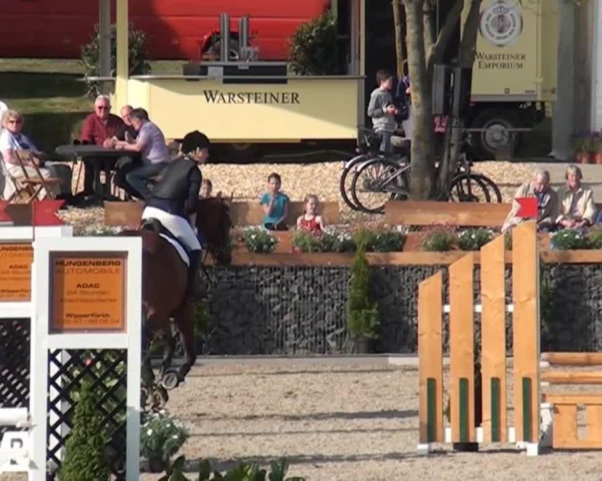 Springpferd Le Coeur 23 (Deutsches Sportpferd, 2006, von Lord Altmark)