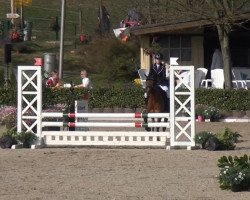 jumper Go Gentle (German Warmblood, 2004, from Glantir Macaulay)