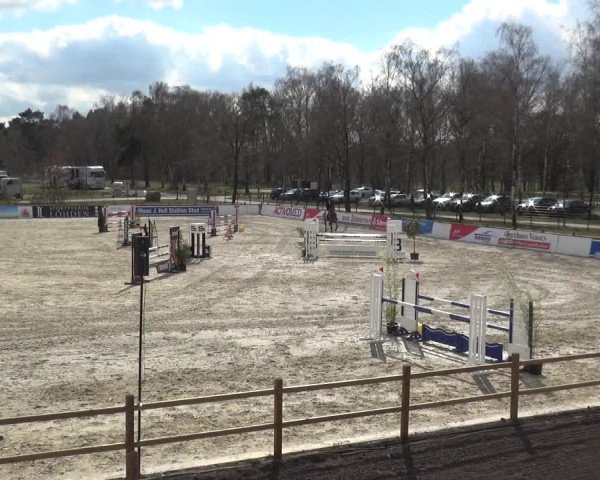 Reitturnier Westergellersen 2021