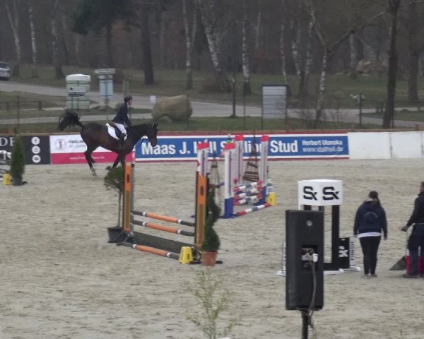 Reitturnier Westergellersen 2021