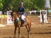 jumper Bodethal's Celina (German Riding Pony, 2007, from Lagos 72)