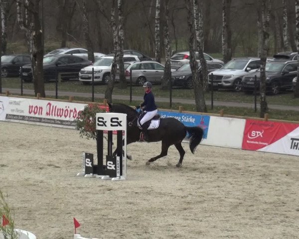 Reitturnier Westergellersen 2021