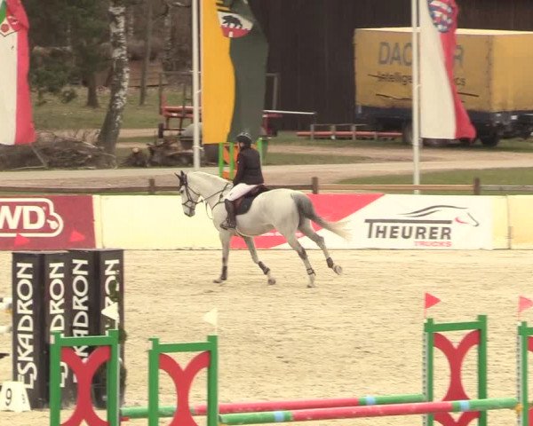 Reitturnier Westergellersen 2021