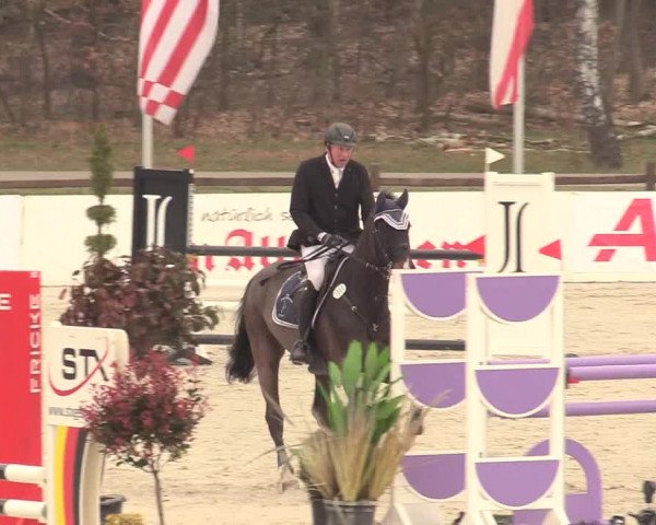 Reitturnier Westergellersen 2021