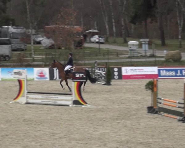 Reitturnier Westergellersen 2021