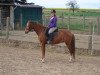 Pferd Regenborn's Caruso (Welsh Pony (Sek.B), 2003, von Claus)