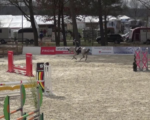 Reitturnier Westergellersen 2021