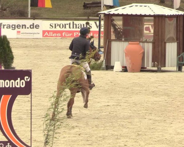 Reitturnier Westergellersen 2021