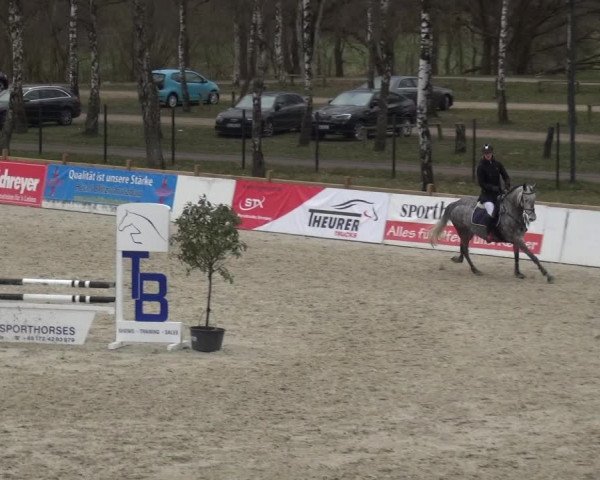 Reitturnier Westergellersen 2021