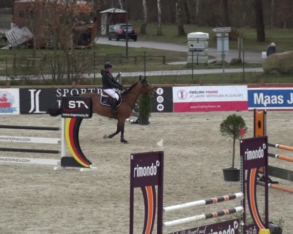 Reitturnier Westergellersen 2021