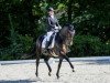 dressage horse San Marino (Westphalian, 2008, from San Amour I)