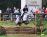 broodmare Atlantis D (German Riding Pony, 2005, from Amarillys Sensation D)