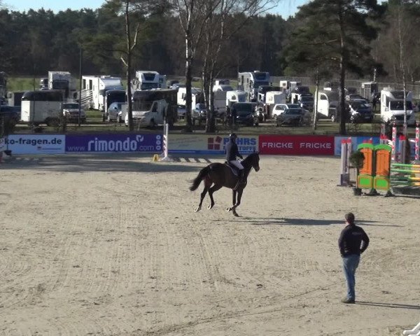 Reitturnier Westergellersen 2021