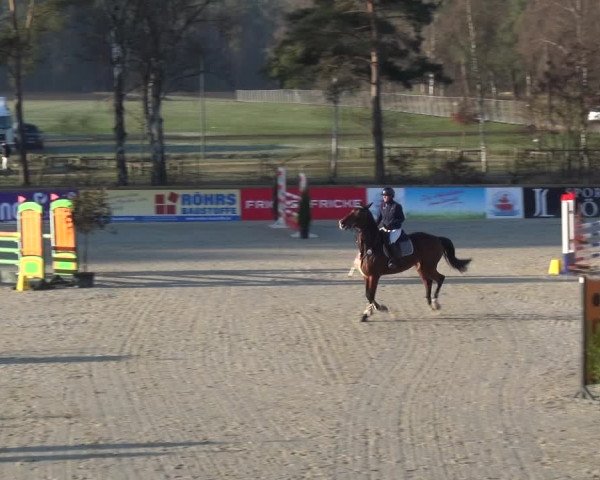 Reitturnier Westergellersen 2021