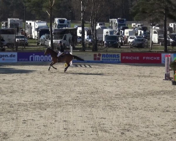 Reitturnier Westergellersen 2021