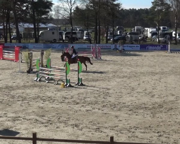 Reitturnier Westergellersen 2021