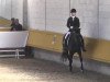 dressage horse Dinah 38 (Hanoverian, 2009, from Don Frederico)