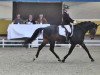 dressage horse Artus avec Charme (Holsteiner, 2010, from Aragorn W)