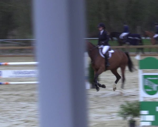 Reitturnier Oelde 2021