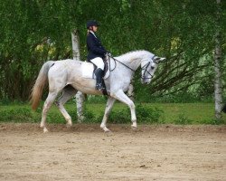 broodmare Alicante 27 (Oldenburg show jumper, 1998, from Granulit)