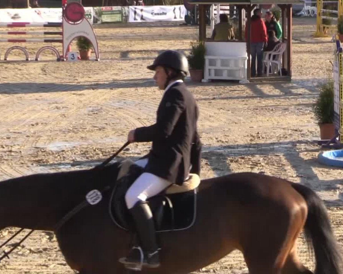 broodmare Caprice 445 (Oldenburg, 2005, from Cordobes II)
