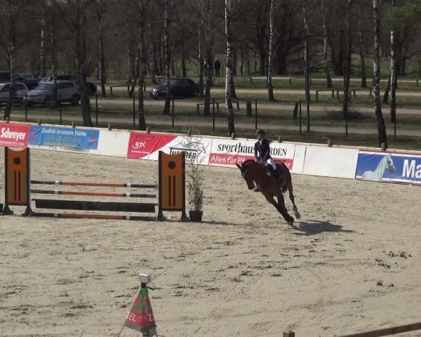 Reitturnier Westergellersen 2021