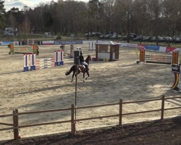 Reitturnier Westergellersen 2021