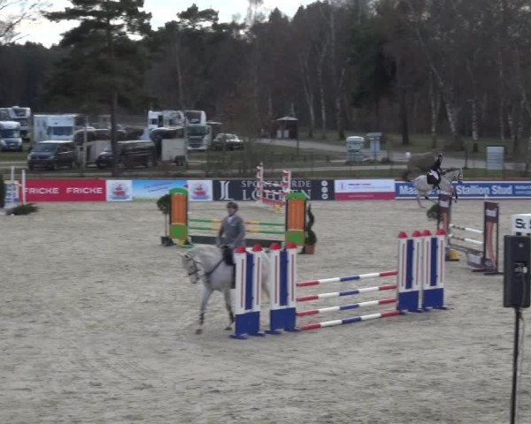 Reitturnier Westergellersen 2021