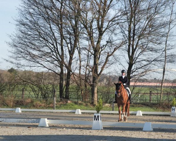 Reitturnier Scharnebeck 2021